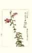 photo74_small.jpg