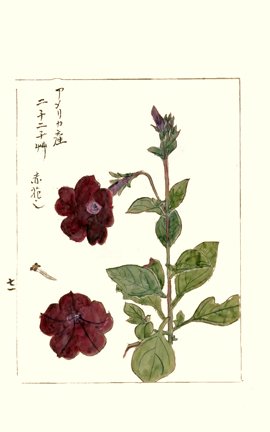 photo85.jpg