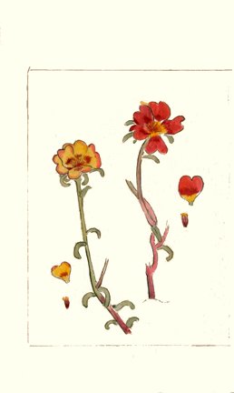 photo89.jpg