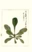 photo92_small.jpg