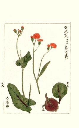 photo95.jpg