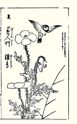 photo11.jpg