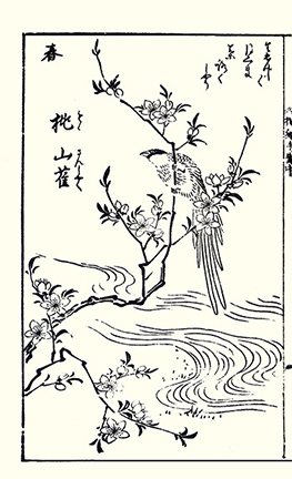 photo16.jpg