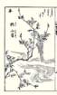 photo16_small.jpg