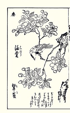 photo19.jpg