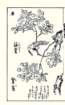 photo19_small.jpg