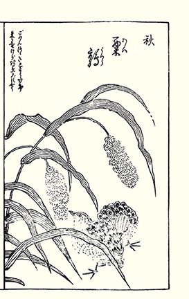 photo2.jpg
