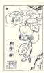 photo22_small.jpg