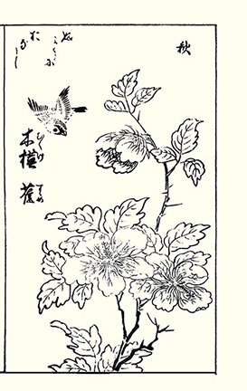 photo23.jpg