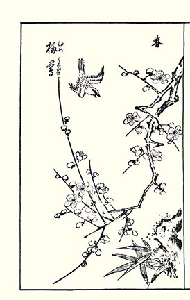 photo25.jpg