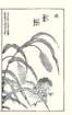 photo2_small.jpg