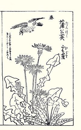 photo4.jpg