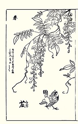 photo7.jpg