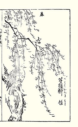 photo9.jpg
