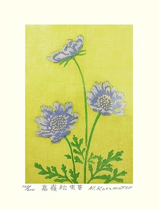 photo28.jpg