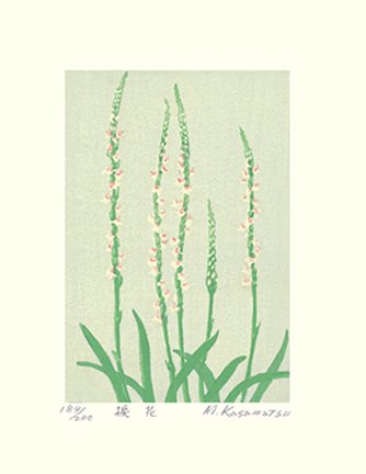 photo30.jpg
