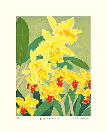 photo35.jpg