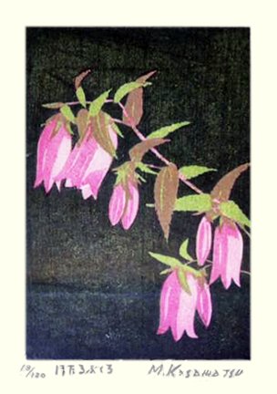 photo38.jpg