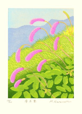 photo70.jpg