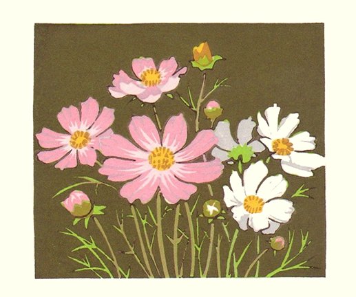 photo2.jpg