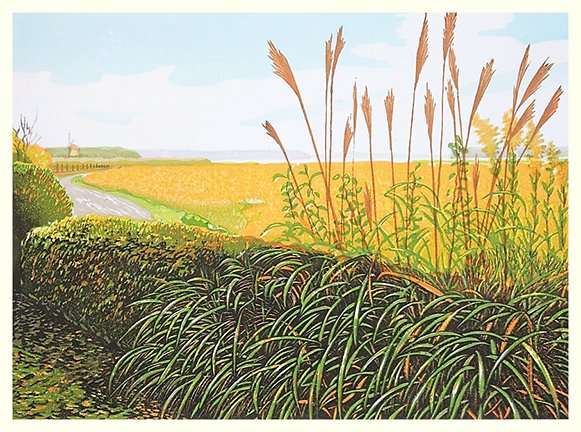photo20.jpg