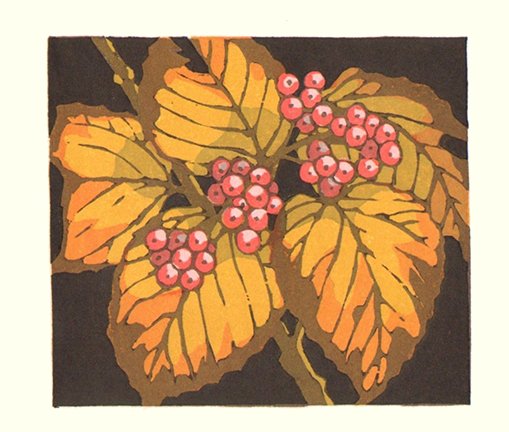 photo6.jpg