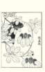 photo150_small.jpg