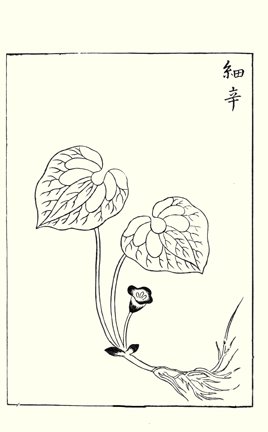 photo19.jpg