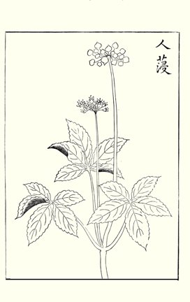 photo22.jpg