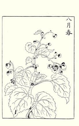 photo26.jpg