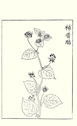 photo39.jpg