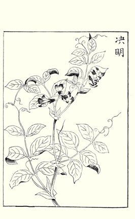 photo45.jpg