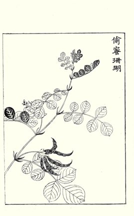 photo51.jpg
