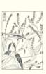 photo60_small.jpg