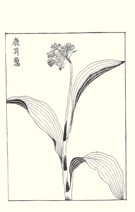 photo70.jpg