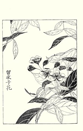 photo99.jpg