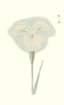photo10_small.jpg
