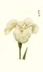 photo11_small.jpg