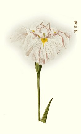 photo22.jpg