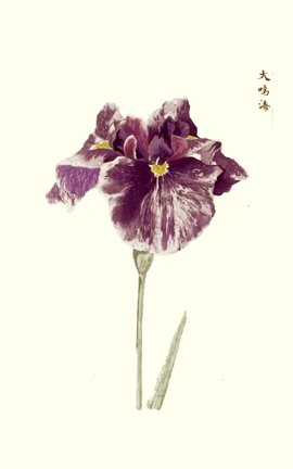photo24.jpg