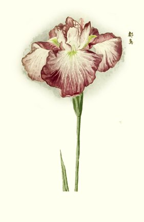 photo26.jpg