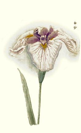 photo33.jpg
