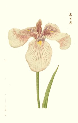 photo34.jpg