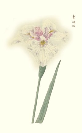 photo36.jpg