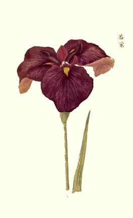 photo5.jpg