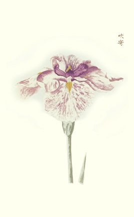 photo59.jpg