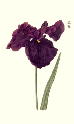 photo6.jpg