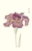 photo70_small.jpg