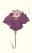 photo72_small.jpg