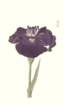photo73_small.jpg